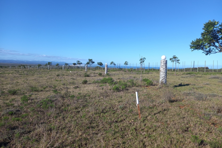 4 Bedroom Property for Sale in Kabeljauws Eastern Cape